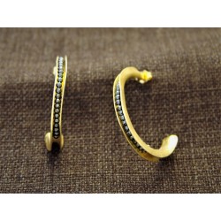 Gold Plated Silver Earrings...